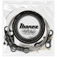 IBANEZ IEGS61 ELECTRIC GUITARS STRING 10-46