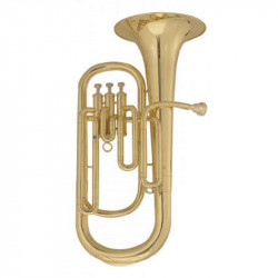 Maxtone TBC53L2 (TBC96L)