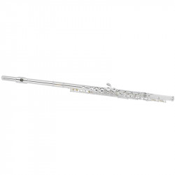 MAXTONE TFC60S (TFC40S)