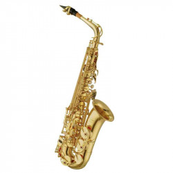 Maxtone SXC30 AL