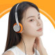 Fiio Snowsky Wind (Silver)