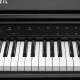 Kurzweil CUP G1W BP