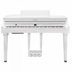 Kurzweil CUP G1W WHP