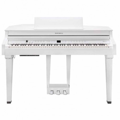 Kurzweil CUP G1W WHP