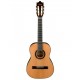 IBANEZ GA15 NT