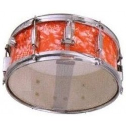 MAXTONE SDC100