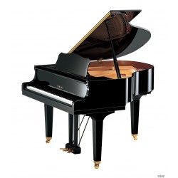 YAMAHA GB1K PE