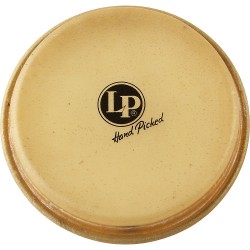 LP 7 1/4'. Rawhide BONGO HEAD