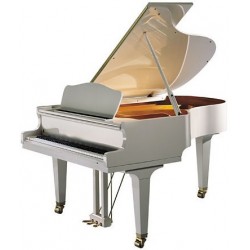 YAMAHA DC1A PWH