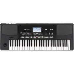 KORG PA300
