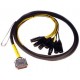 AVID DB25XLR DIGISNAKE12