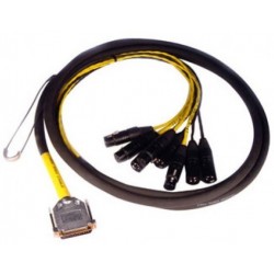 AVID DB25XLR DIGISNAKE12