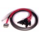 AVID DB25XLRM DIGISNAKE12