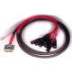 AVID DB25XLRM DIGISNAKE4