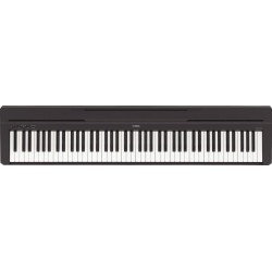 YAMAHA P45B