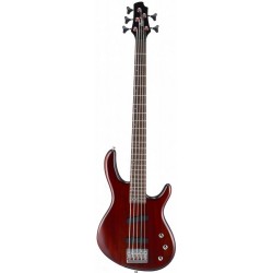 CORT Action V WS