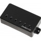 EMG FH2