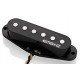 EMG SRO SC1B