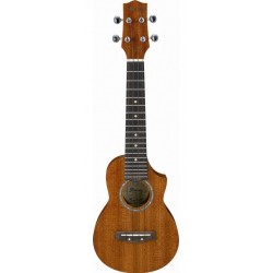 IBANEZ UEWS5