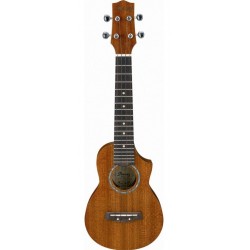 IBANEZ UEW5