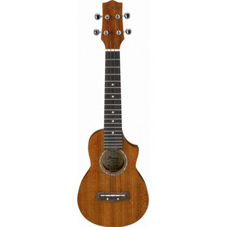 IBANEZ UEW5