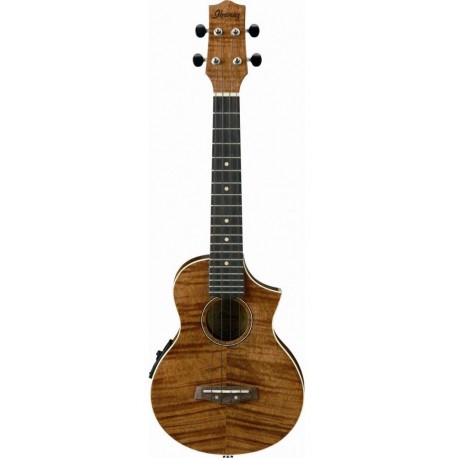 IBANEZ UEW15E