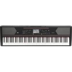 KORG HAVIAN 30