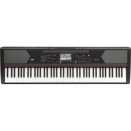 KORG HAVIAN 30