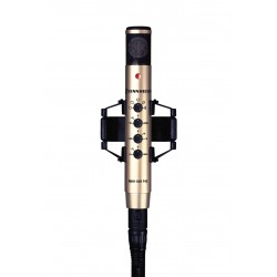 SENNHEISER MKH 800 P48