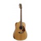 NORMAN 001071 - STUDIO ST40