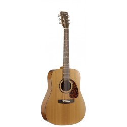 NORMAN 001071 - STUDIO ST40