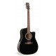 ART & LUTHERIE 023684 CW CEDAR BLACK QI