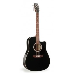 ART & LUTHERIE 023684 CW CEDAR BLACK QI