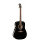 ART & LUTHERIE 023622 CEDAR BLACK QI