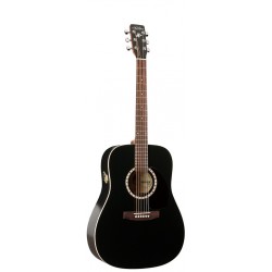 ART & LUTHERIE 023622 CEDAR BLACK QI