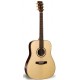 S&P 025213 - SHOWCASE ROSEWOOD WITH DLX TRIC