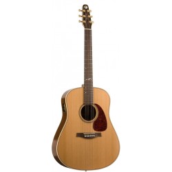 SEAGULL 033508 - ARTIST MOSAIC DELUXE QII WITH DLX TRIC