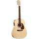 NORMAN 031344 - Studio B50 EQ with TRIC