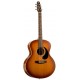 SEAGULL 032914 - Entourage Mini Jumbo Rustic