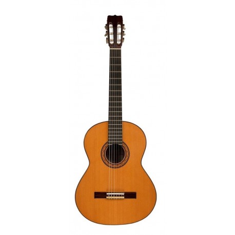 MANUEL RODRIGUEZ D ABETO (Spruce)