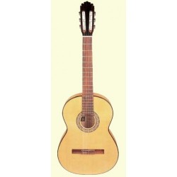 MANUEL RODRIGUEZ C 3 CEDRO