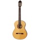 MANUEL RODRIGUEZ C 1 ABETO (Spruce)