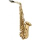 MAXTONE SXC51A/L