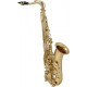 MAXTONE SXC51T/L