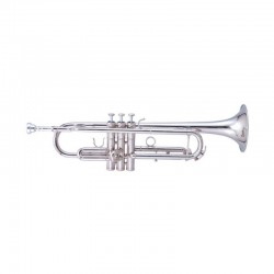 MAXTONE TTC60N2 (TTC234N)