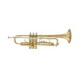 MAXTONE TTC60L2 (TTC234L)