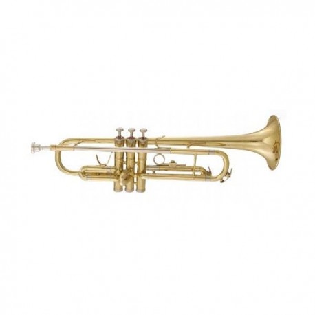 MAXTONE TTC60L2 (TTC234L)