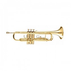 MAXTONE TTC30L (TTC1C)