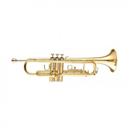 MAXTONE TTC30L (TTC1C)