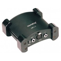 SOUNDKING AM401